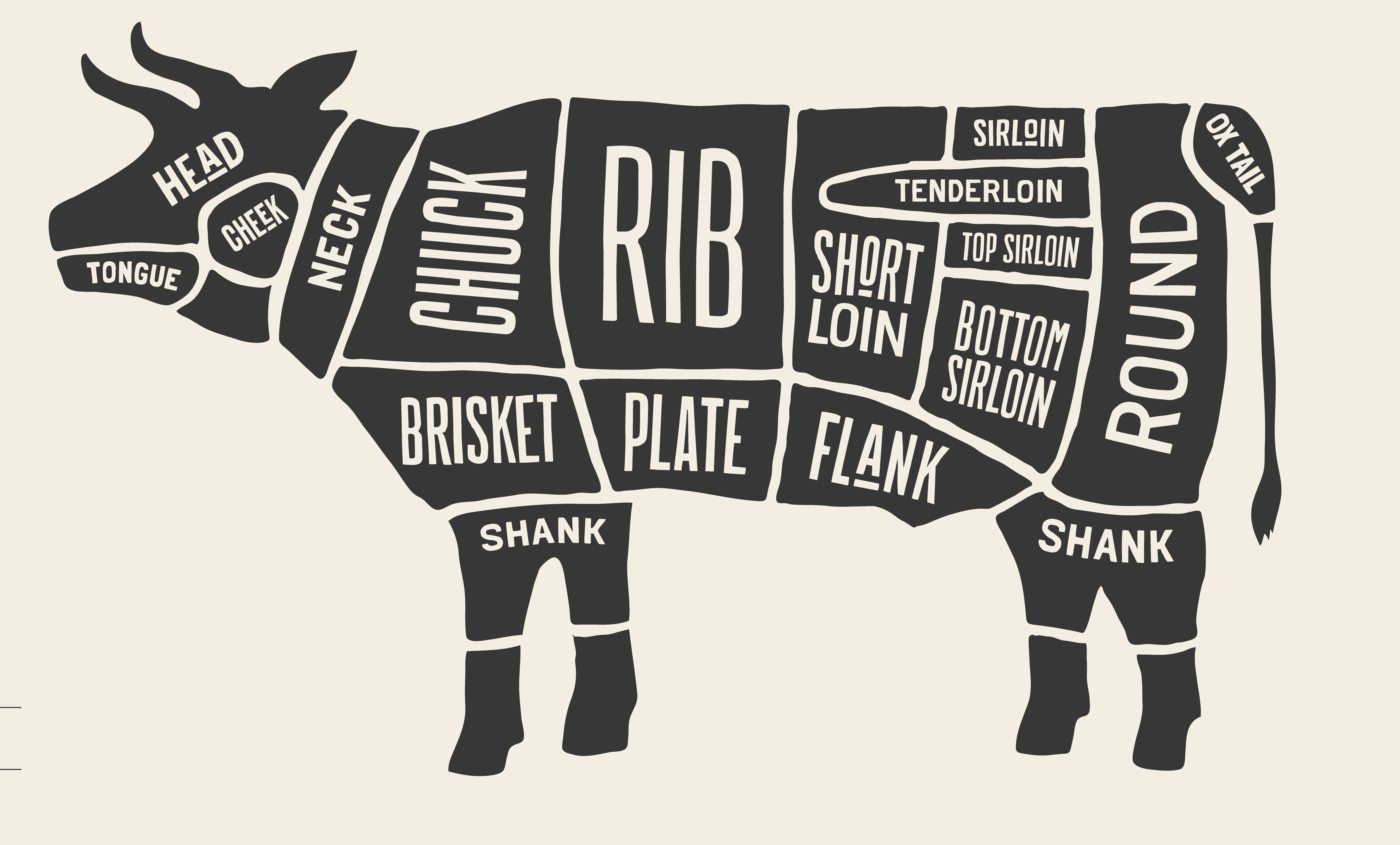 Meat cuts - beef. Diagrams for butcher shop. Scheme of beef. Animal silhouette beef. Guide for cutting. Vector illustration.